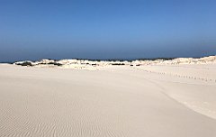 388_iP_220325_IMG_4901