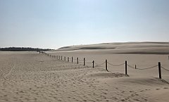 438_iP_220325_IMG_4912