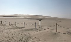 439_iP_220325_IMG_4913