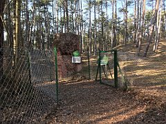 537_iP_220325_IMG_4933