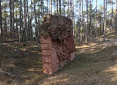 541_iP_220325_IMG_4938