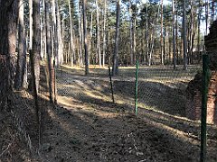 545_iP_220325_IMG_4940