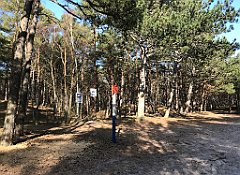 559_iP_220325_IMG_4963