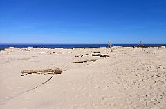 331_p20_IMG_20220412_123636