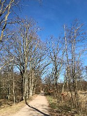 012_iP_220416_IMG_5073