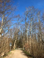 016_iP_220416_IMG_5078