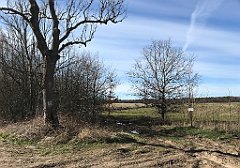 036_iP_220416_IMG_5092