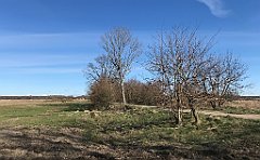 038_iP_220416_IMG_5095