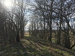 077_iP_220416_IMG_5108