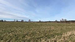 081_iP_220416_IMG_5111