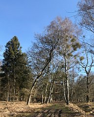 012_iP_220421_IMG_5165