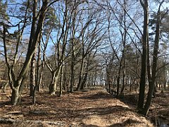 027_iP_220421_IMG_5168