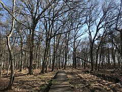 031_iP_220421_IMG_5173