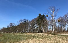 105_iP_220421_IMG_5189