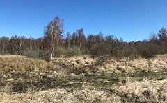 146_iP_220421_IMG_5202