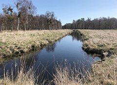 149_iP_220421_IMG_5205