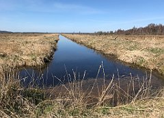 150_iP_220421_IMG_5206