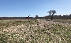 168_iP_220421_IMG_5222