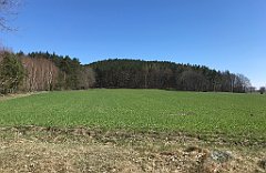 315_iP_220421_IMG_5259