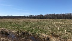 348_iP_220421_IMG_5274