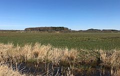 361_iP_220421_IMG_5279