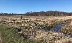 411_iP_220421_IMG_5294