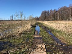 417_iP_220421_IMG_5299