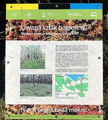 427_iP_220421_IMG_5304