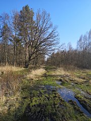 450_p20_IMG_20220421_163728