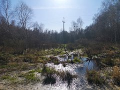 453_p20_IMG_20220421_163742