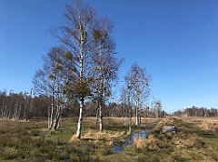 475_iP_220421_IMG_5314