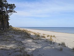 151_p20_IMG_20220510_101254