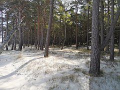 152_p20_IMG_20220510_101300