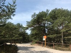 168_iP_220510_IMG_5550