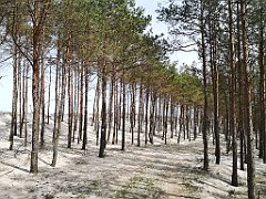 207_p20_IMG_20220510_115112