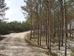 208_p20_IMG_20220510_115116