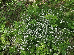 343_p20_IMG_20220517_160351