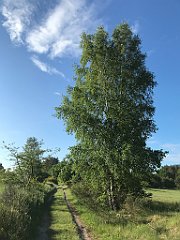 008_iP_220531_IMG_5575