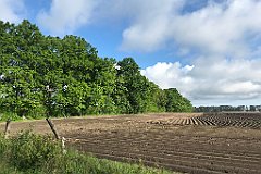 079_iP_220531_IMG_5586