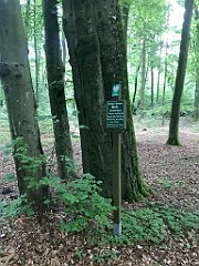 095_iP_220531_IMG_5591