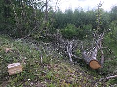 110_iP_220531_IMG_5618