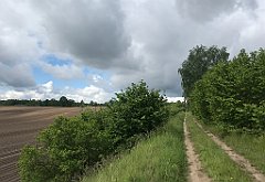 154_iP_220531_IMG_5629