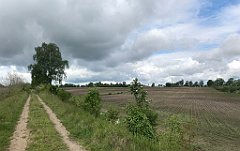 160_iP_220531_IMG_5639