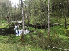 191_iP_220531_IMG_5667