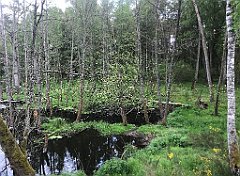 193_iP_220531_IMG_5670