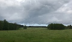 207_iP_220531_IMG_5676