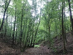 235_iP_220531_IMG_5712