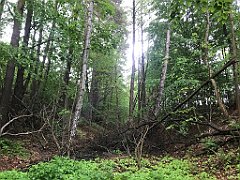 236_iP_220531_IMG_5713