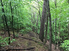 239_iP_220531_IMG_5716