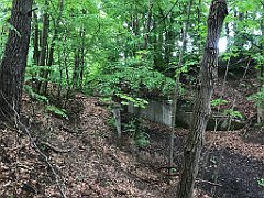 244_iP_220531_IMG_5723